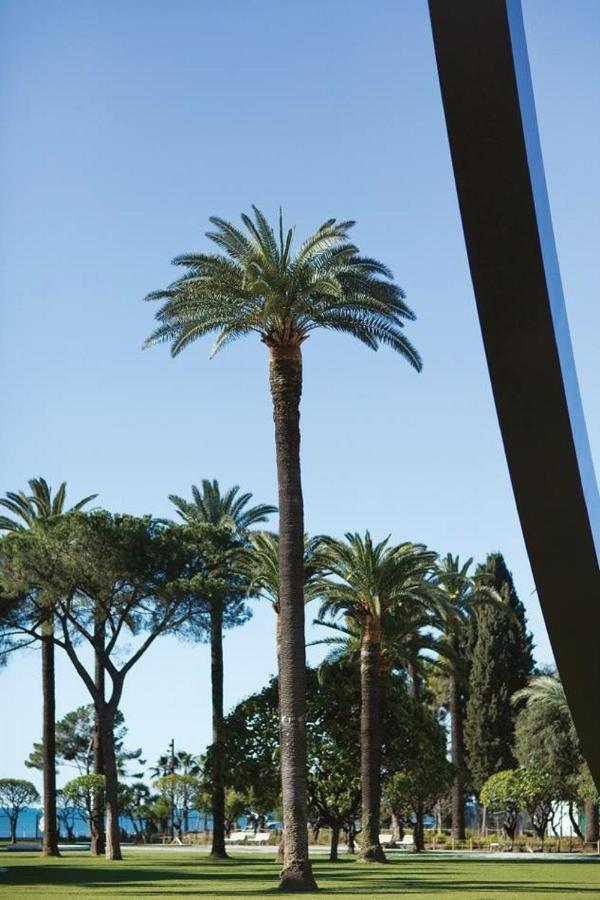 Typique - 2 Bedrooms,typical Apartment-old Town * Nizza